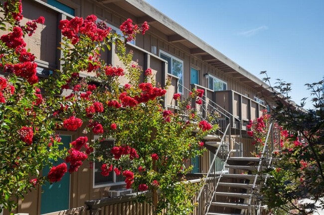 Second Floor - Tanglewood Apartments