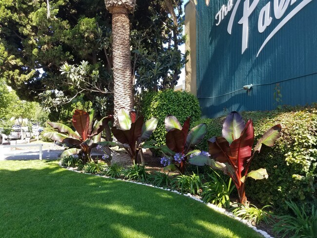 The Palms