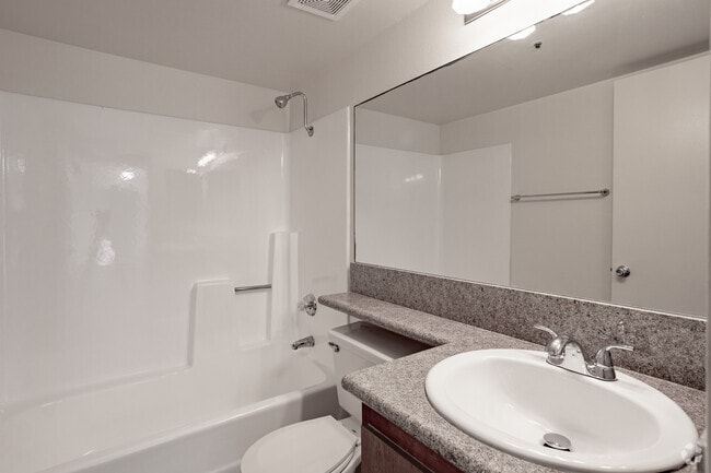 1BR, 1BA - 700SF Bathroom