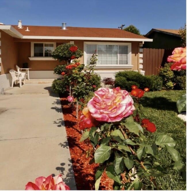 Building Photo - 2429 Poplar Dr