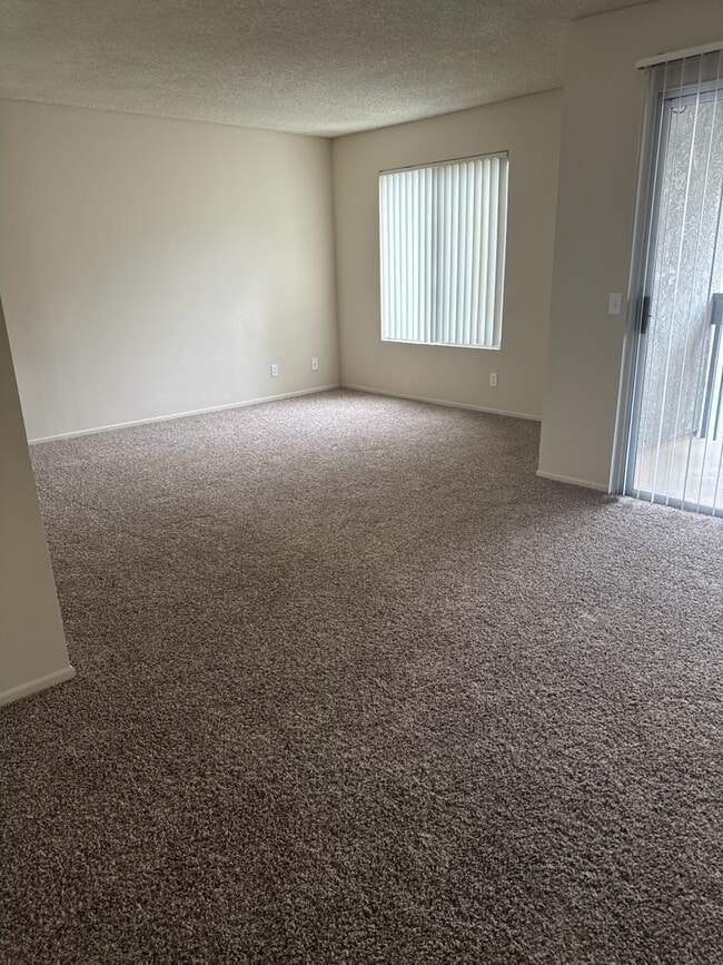 Photo - 824 Minor St