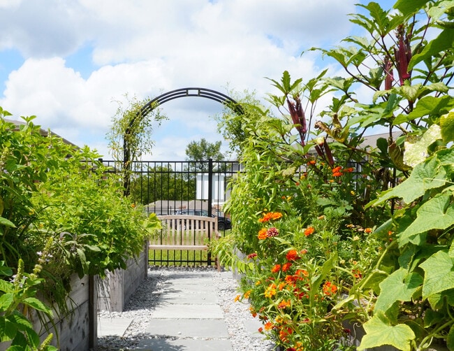 Photo - Provenza at Park Place