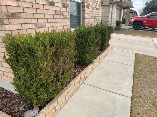 Photo - 13228 Forest Sage St