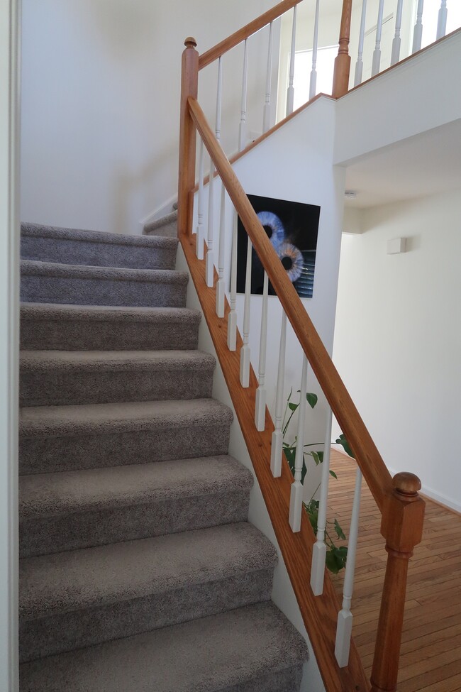 Photo - 4501 Deane Ct