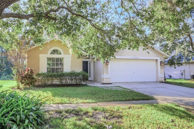 Photo - 18904 Nest Fern Cir