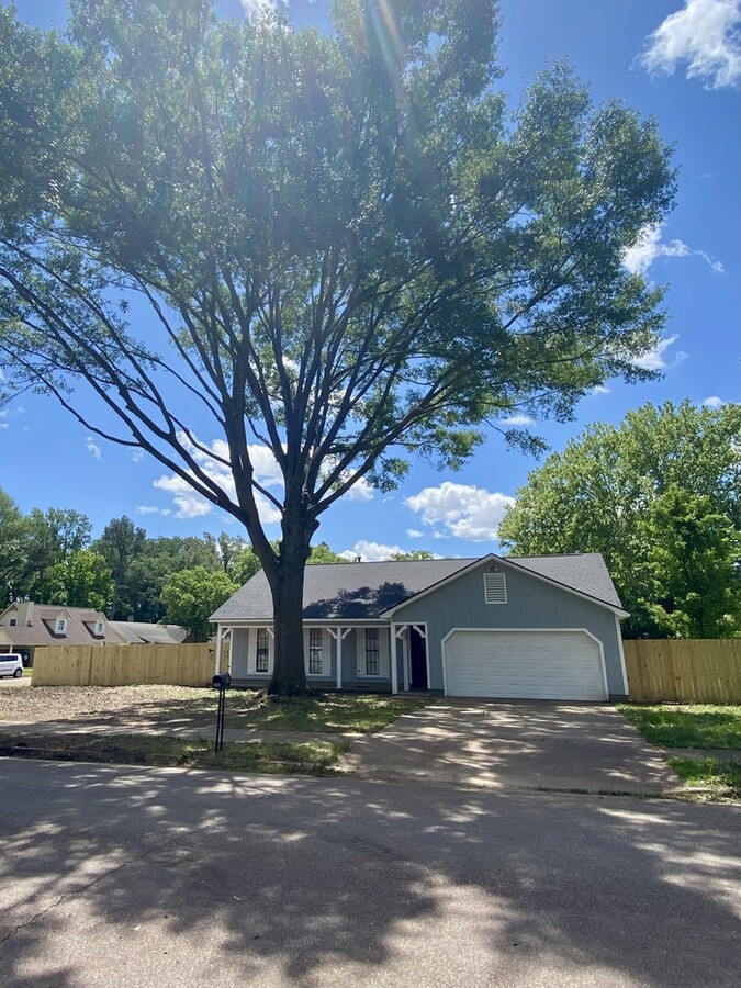 Newly Renovated Home - Newly Renovated Home