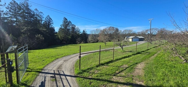 Building Photo - Privacy And Space In The Heart Of Rural West County. Minutes From Sebastopol And The Bay.