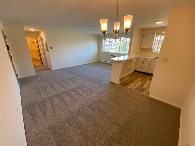 1BR Main Area