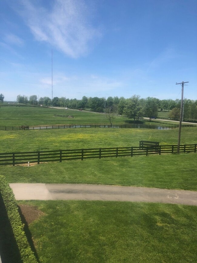 Photo - Kentucky mansion overlooking horse farm with stunning views    260308