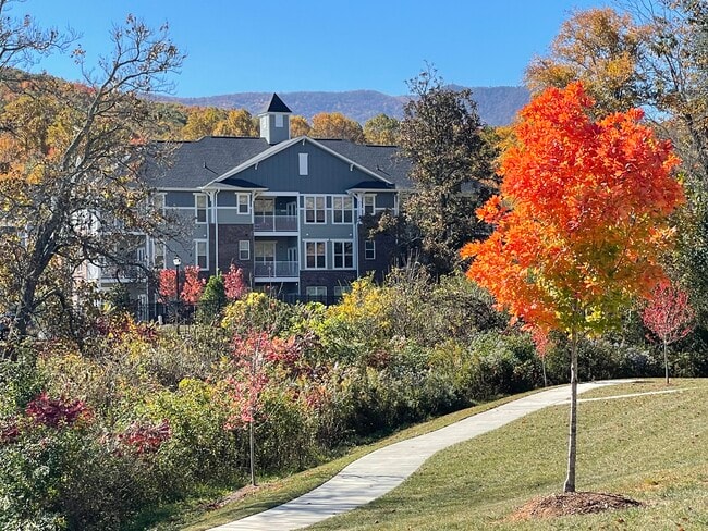 Photo - Palisades at Plott Creek