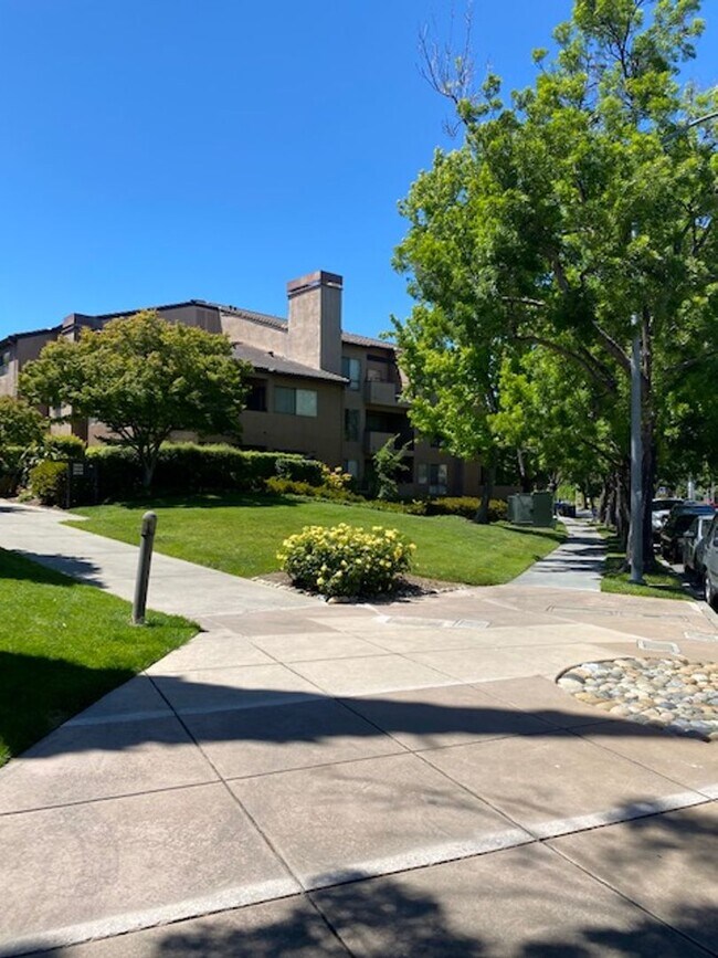 Photo - Gorgeous Monte Merano Condo for rent