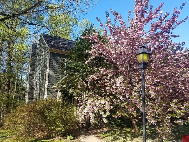 Photo - 11822 Great Owl Cir Townhome