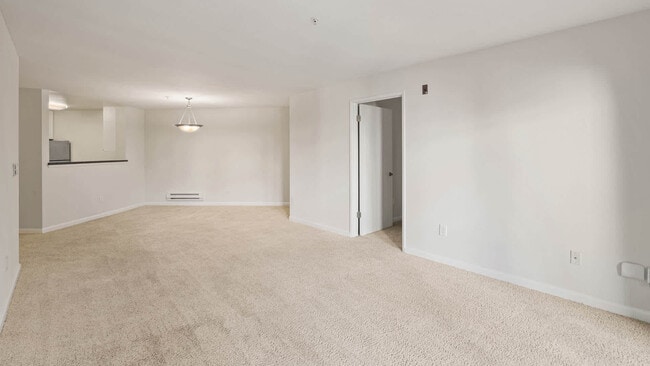 Carpeted Living Room