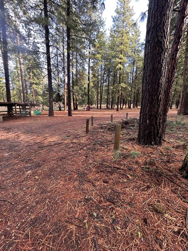 Photo - 18515 Freight Rd Ln