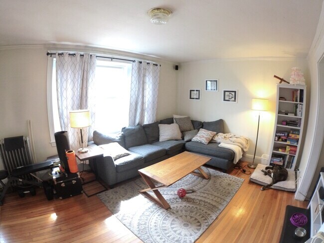 Building Photo - 1622 Commonwealth Ave Rental