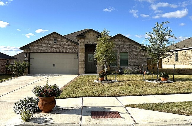 Building Photo - 2418 Corradino St