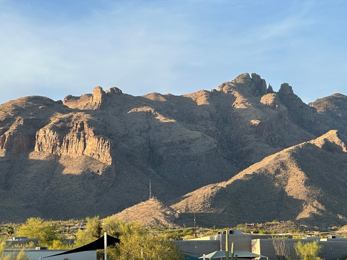 Photo - 6651 N Campbell Ave (Tucson, AZ)
