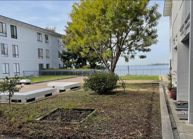 Building Photo - LIVE AT THE RESORT - Upgraded 1 Bedroom Co... Unit 209 Rental