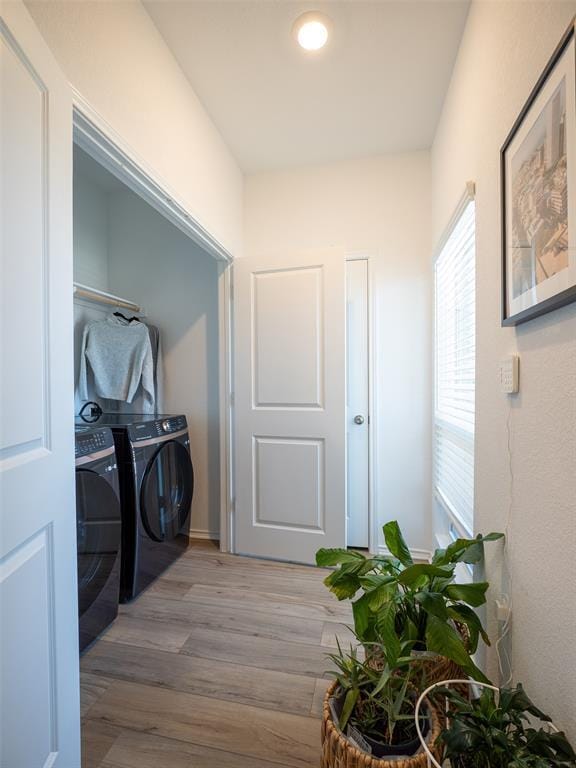 Photo - 15601 Poppy Petal Dr