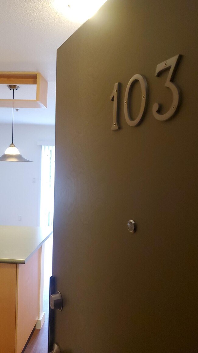 Photo - 238-238 Selby St