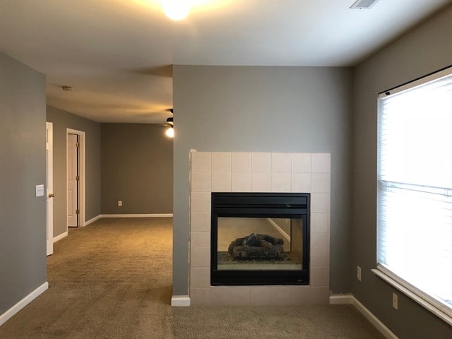 Photo - 1010 Tanyard Springs Dr