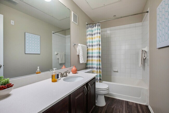 Monte Vista apartments — community photo