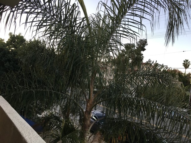 View from Balcony - 14718 W Magnolia Blvd Unit #3