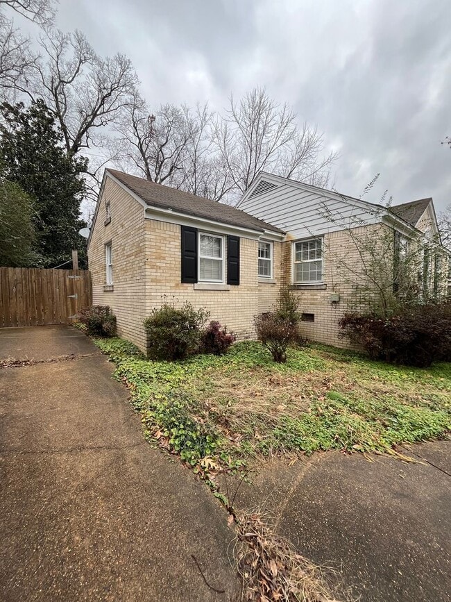 Photo - Newly Renovated Unit in Heart of Memphis