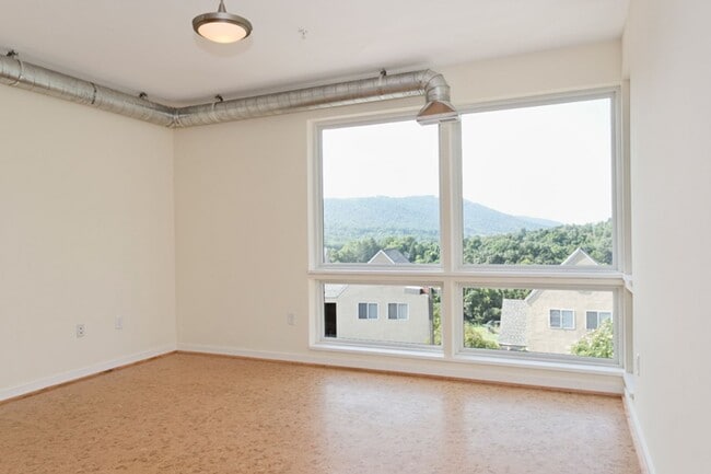 Photo - 1050 Druid Ave.