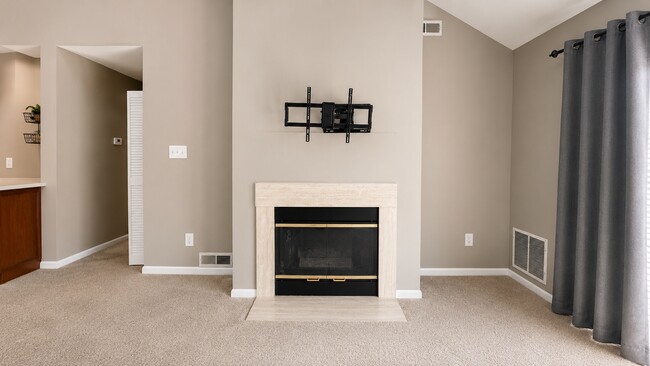 GAS FIREPLACE - 1010 Squirrel Rd Unit 1010 Squirrel Rd