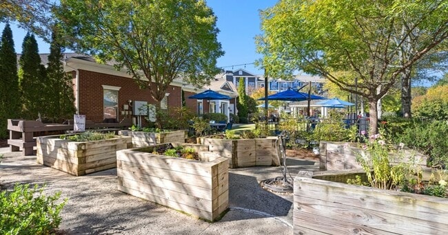Park at Johns Creek 55+ Active Adult Living