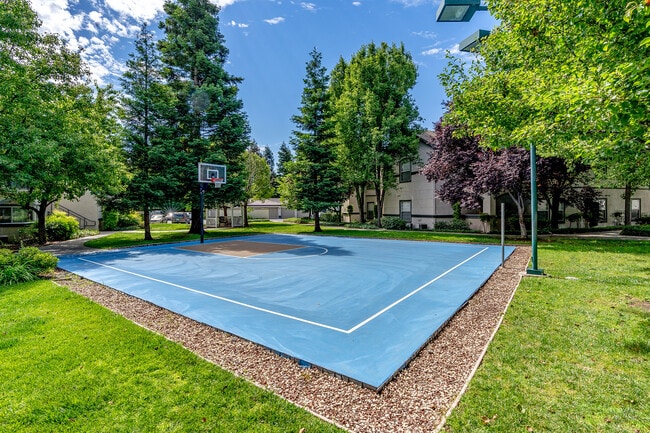 The Commons Apartments