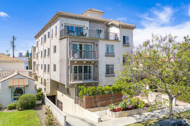 Primary Photo - Holt Townhomes