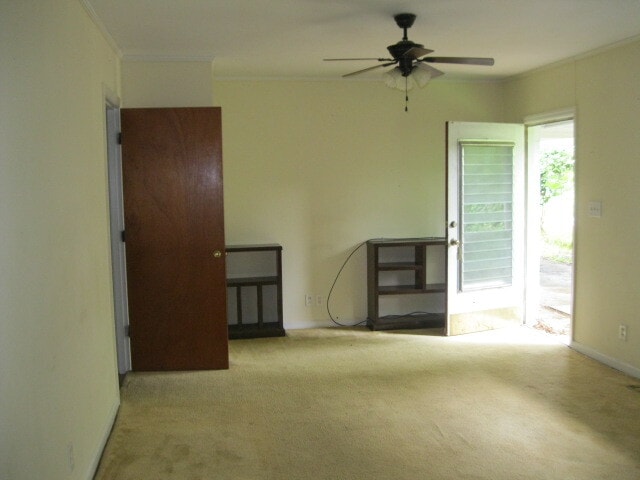 411 Bonnie St