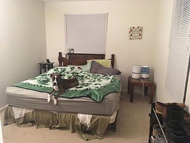 Photo - 3-Bedroom Apartment Near IU Bloomington Campus