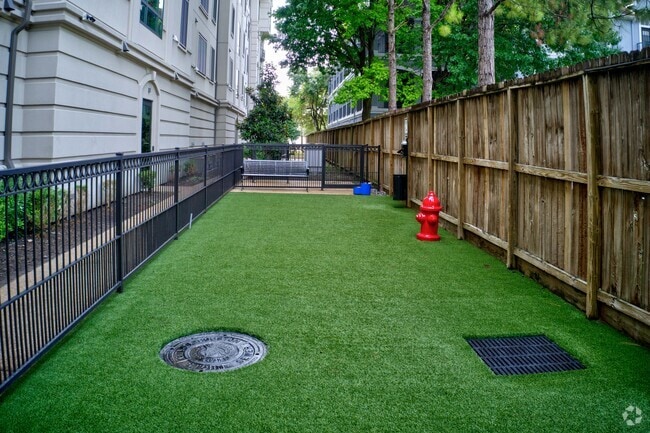 Dog Park