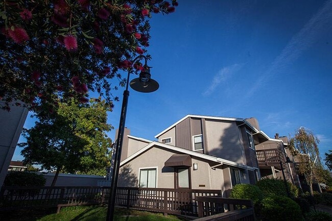 Laurel Grove