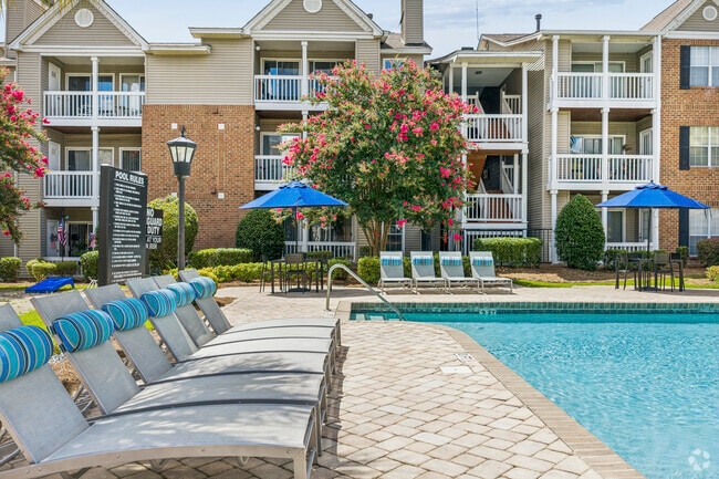Swimming Pool & Sun Deck