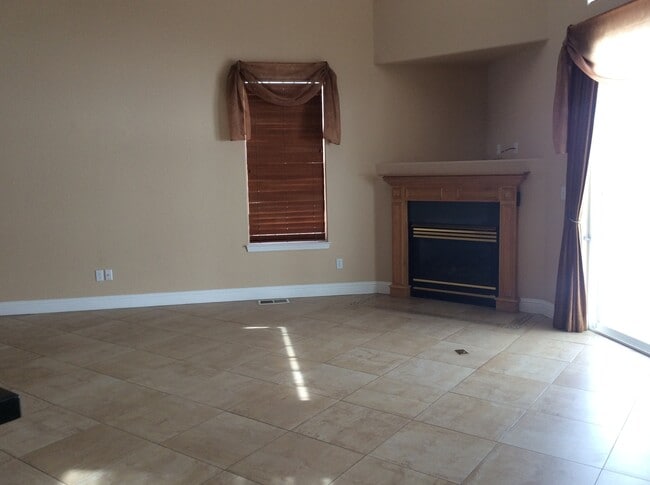 Photo - Silver Oak Gem