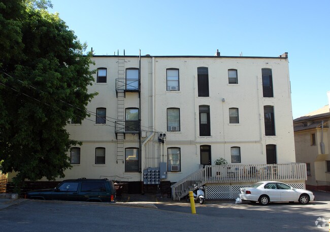 The Swallow - The Swallow