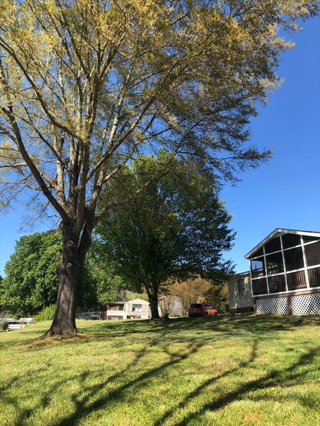 Photo - 1305 Ewing Dr