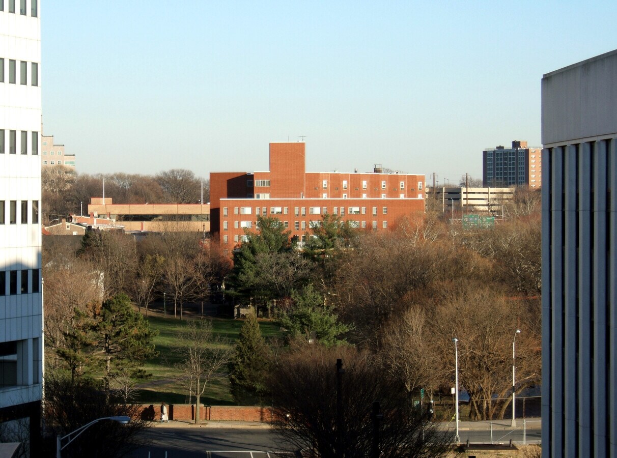 View from the west along Lafayette Street - Architects Housing