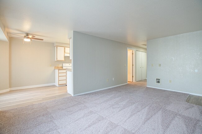 Photo - Veri on Sunnyview