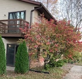 Photo - 899 Walnut St Unit 899