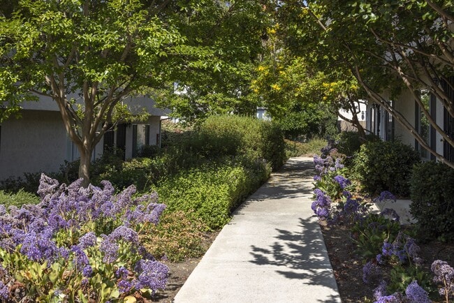 Casa Monterey Apartments