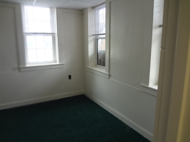 Photo - 16 Hawthorne St