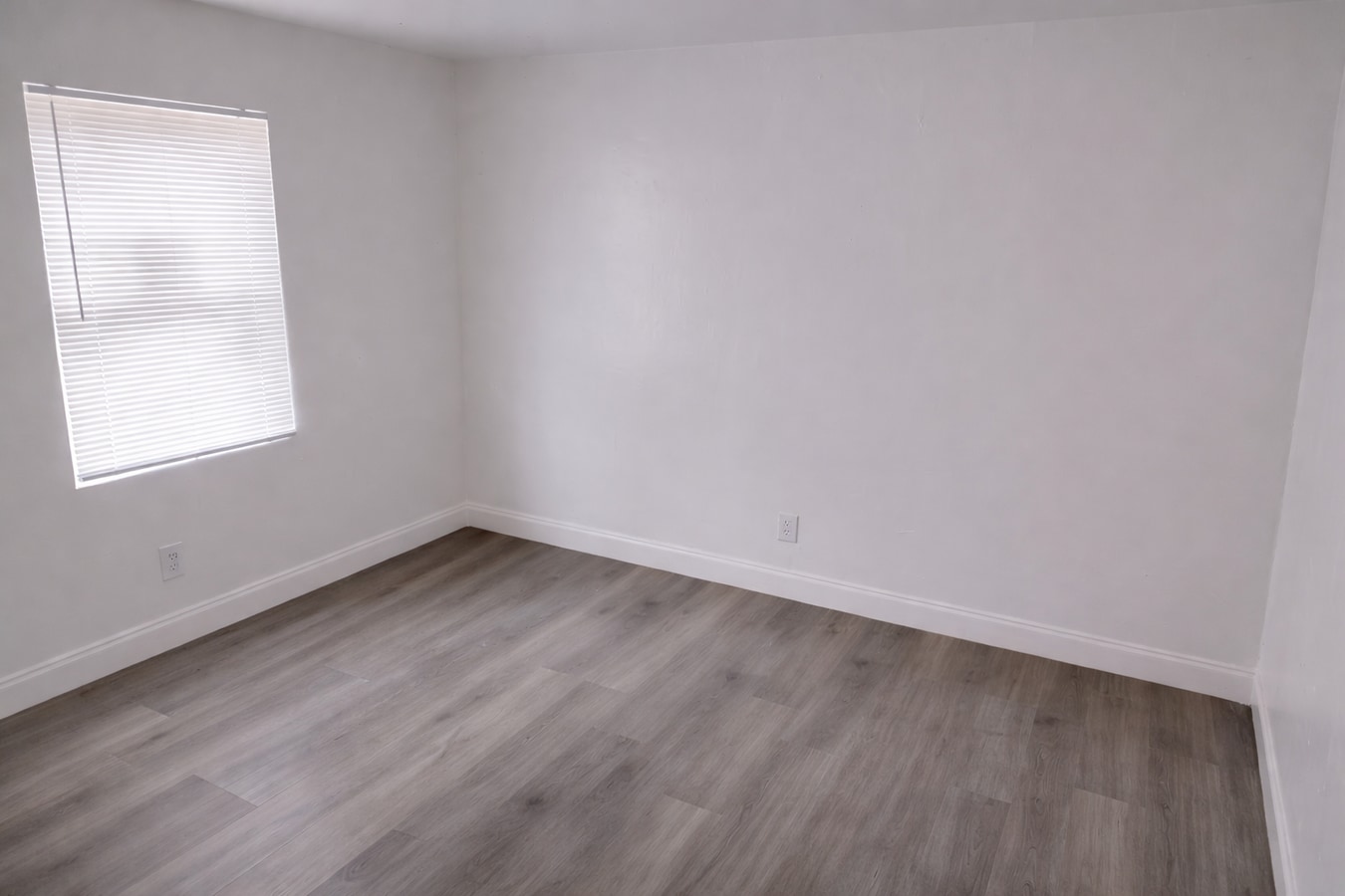 Photo - 107 Garland Ter