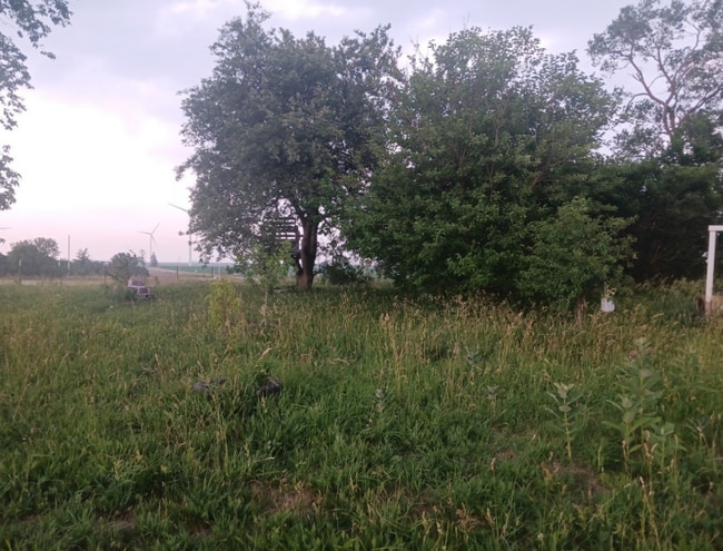 Photo - 34512 N 770 East Rd