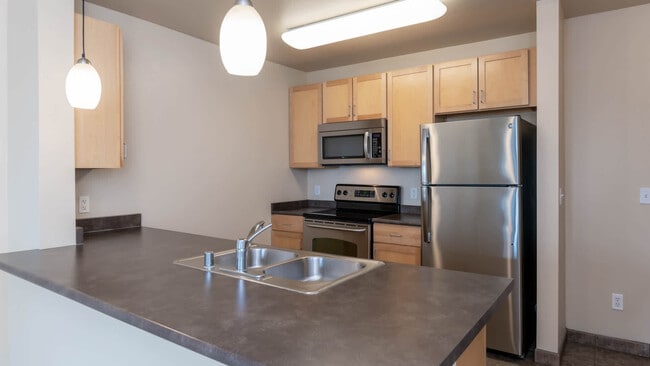 Kitchen with Stainless Steel Appliances