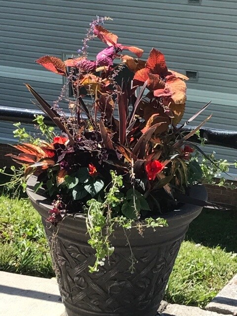 Photo - Crescent View Apartments